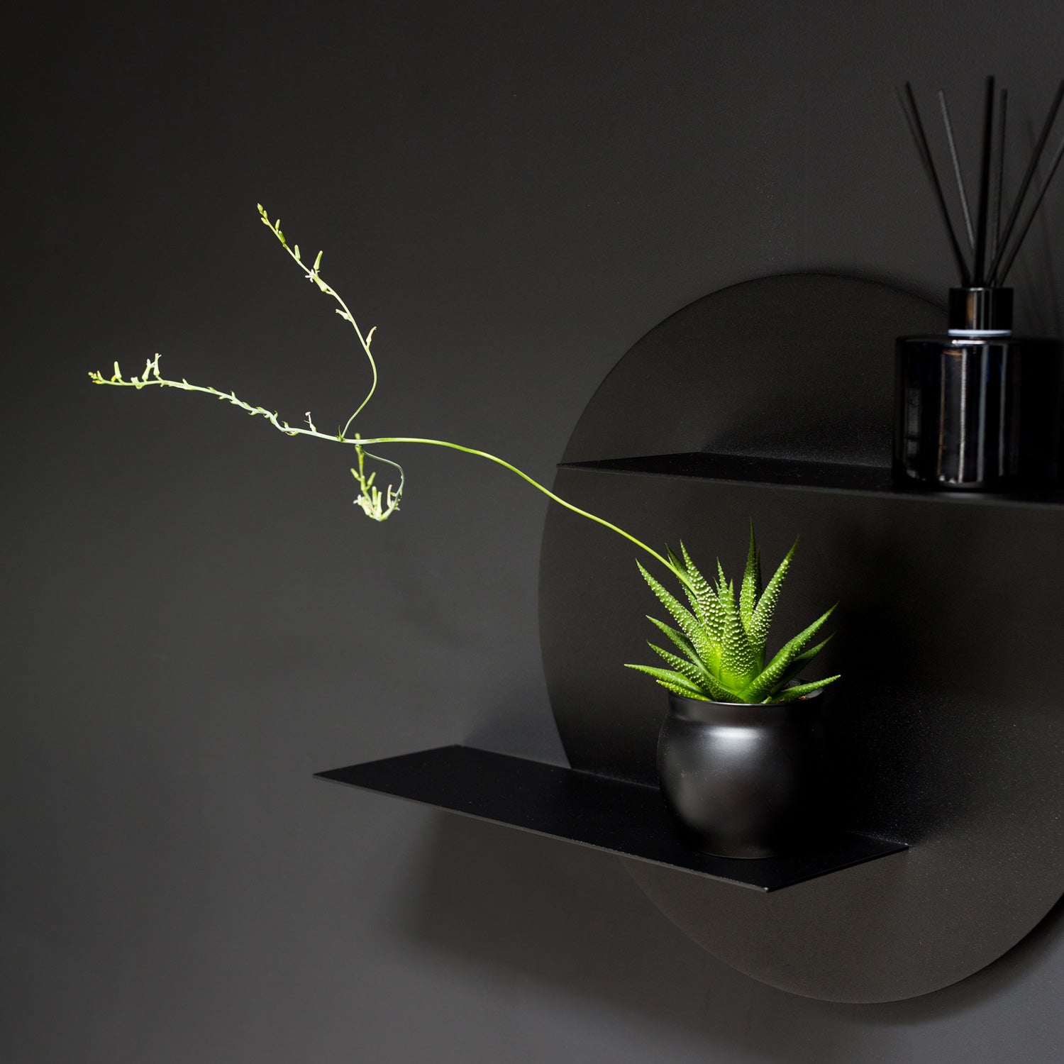 Round Black wall shelf on black wall