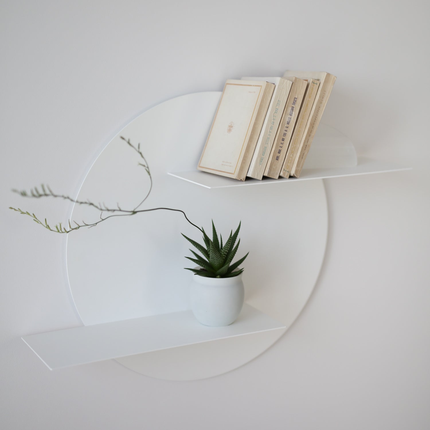 white unique round designer wall shelf with books and flowers