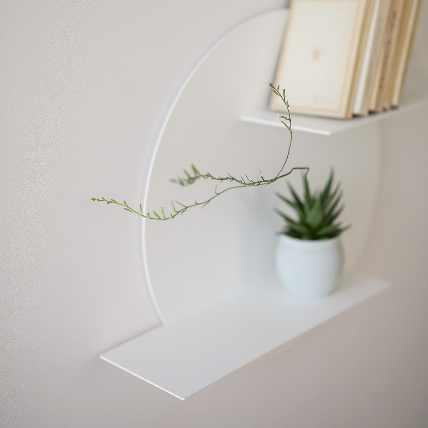 Modern floating round wall shelf with a plant on a neutral background